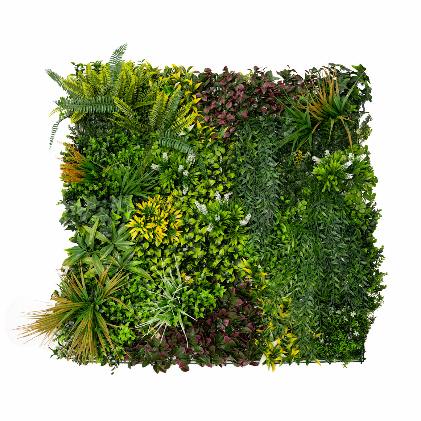 Q-Rax Cassia Piastrelle Parete Verde 100x100 cm 3 Pezzi UV