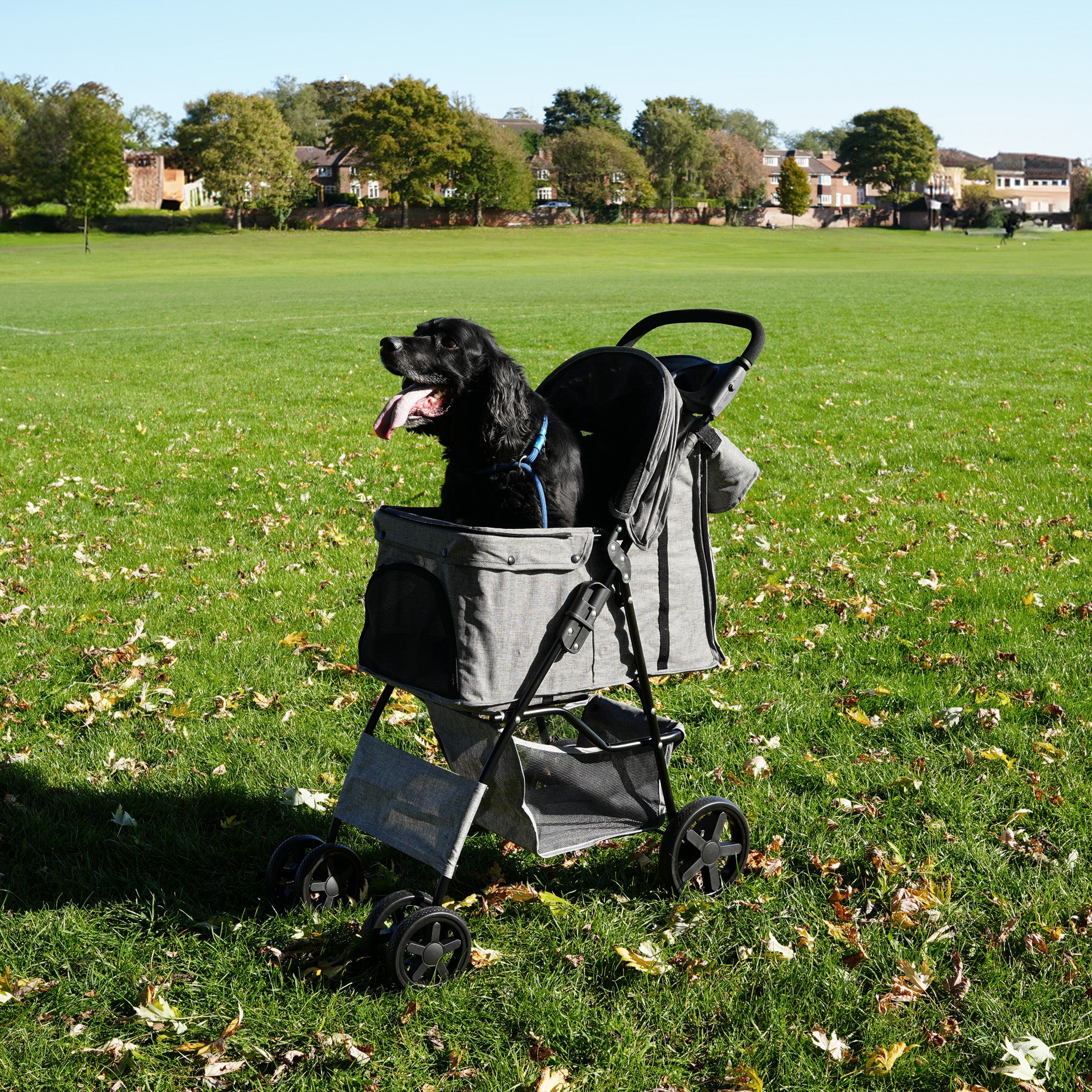 Q-Rax Passeggino Animali Grigio Antipioggia con Borsa Organizer