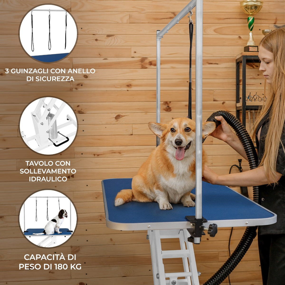 Q-Rax Tavolo Toelettatura Idraulico Piano Blu 106 cm 180 kg
