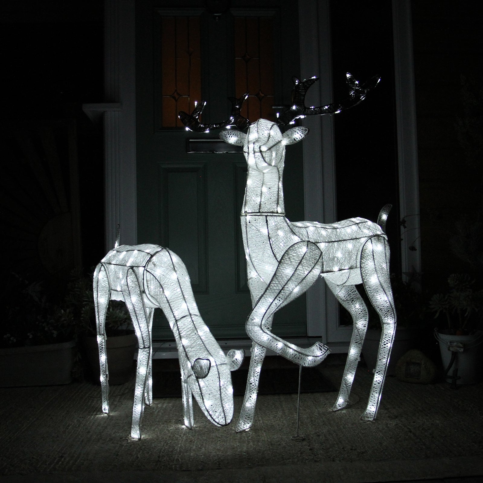 Q-Rax Renne di Natale Luminose Bianche Maschio e Femmina
