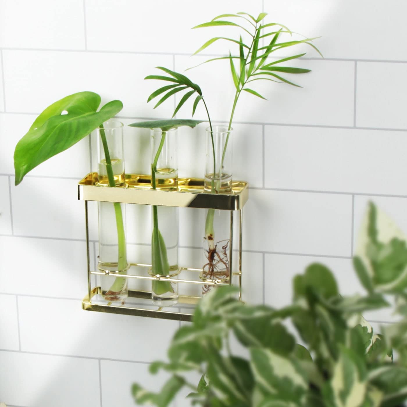 Jackcube Design Plant Wall Hanging fioriera 3 tubi vetro oro