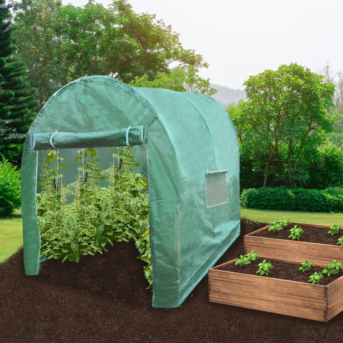 Q-Rax Serra Tunnel Giardino 4x2m Telo PE con Porte e Finestre