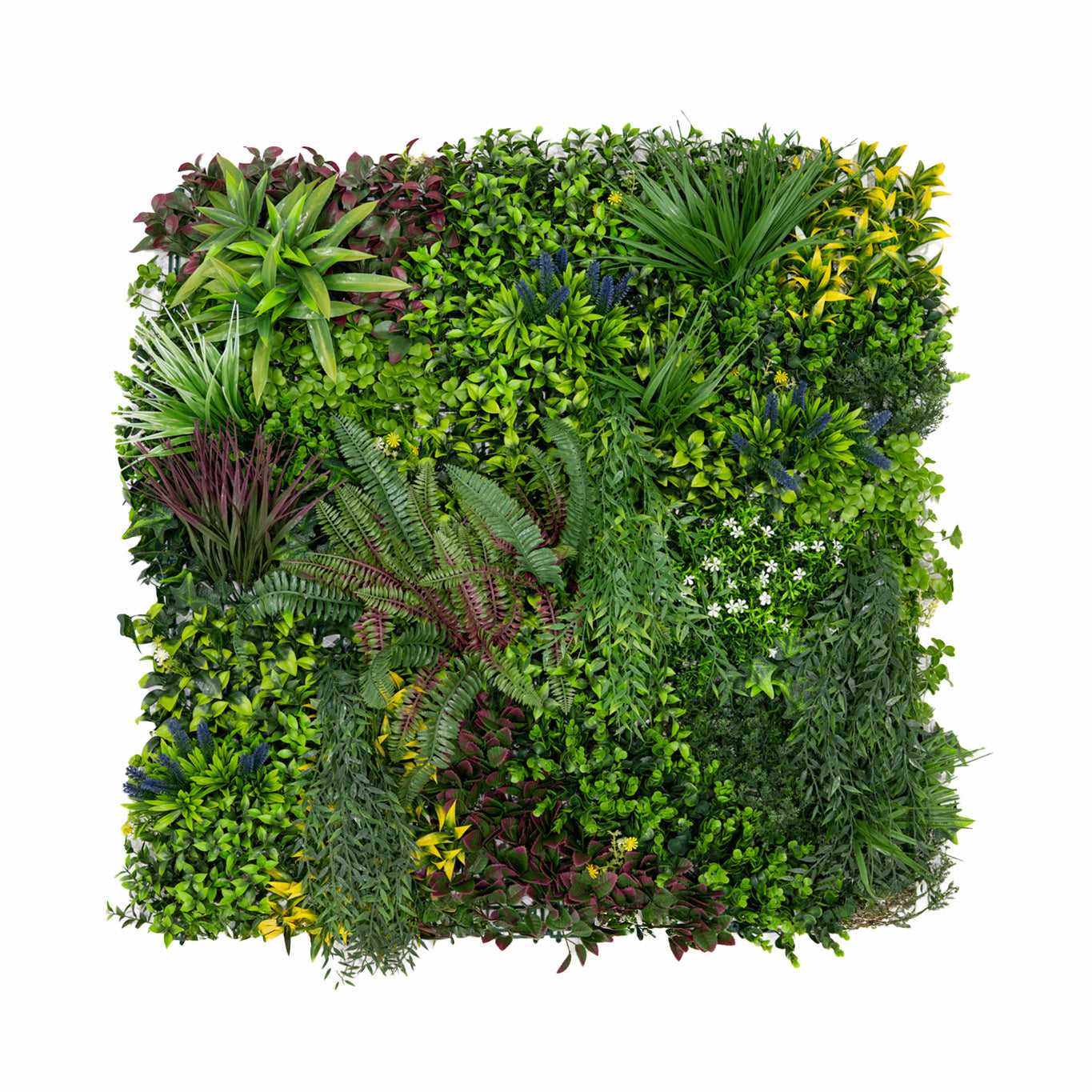 Q-Rax Cassia Piastrelle Parete Verde 100x100 cm 3 Pezzi UV