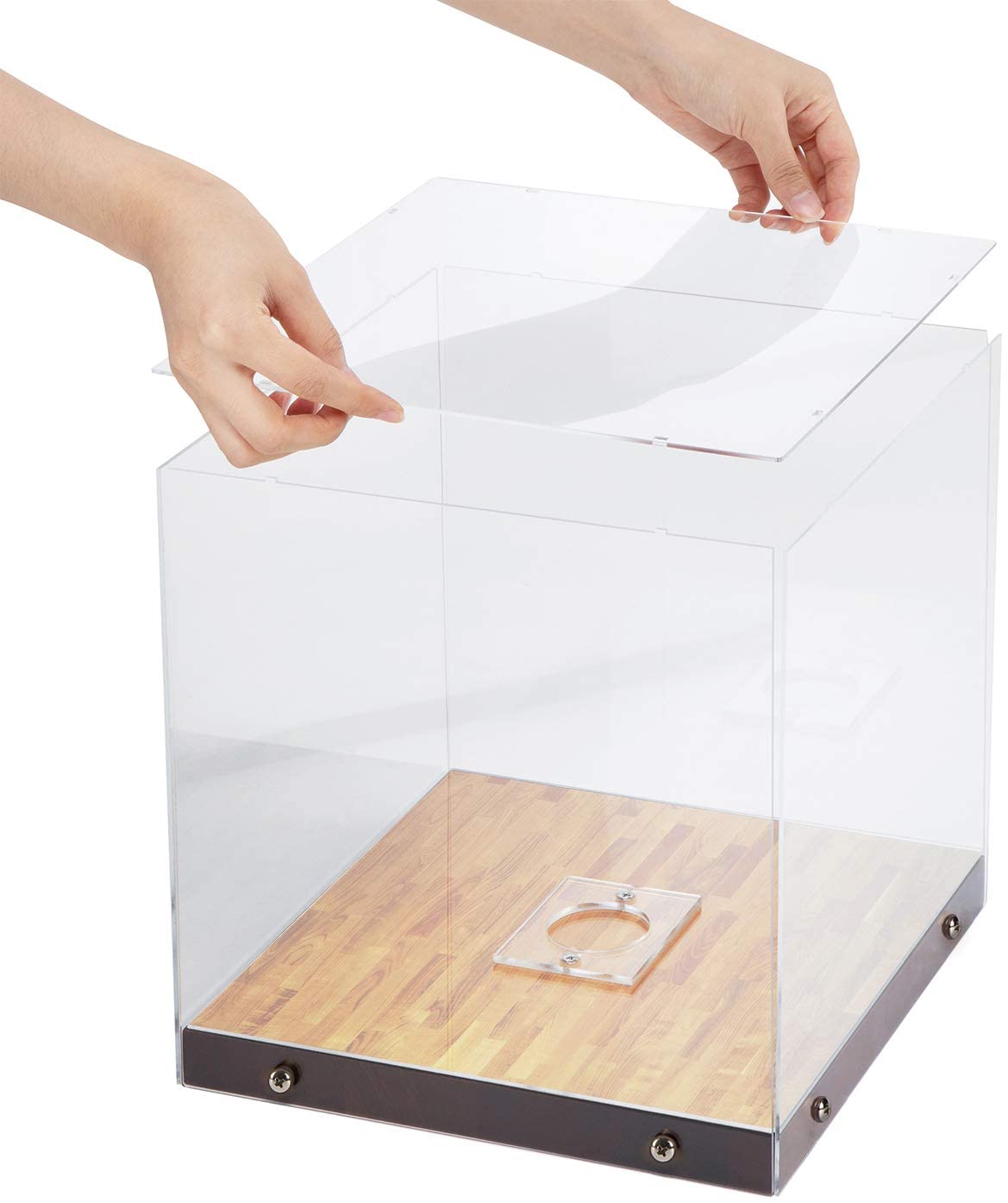 Jackcube Design Display Teca Pallone Basket Base Legno