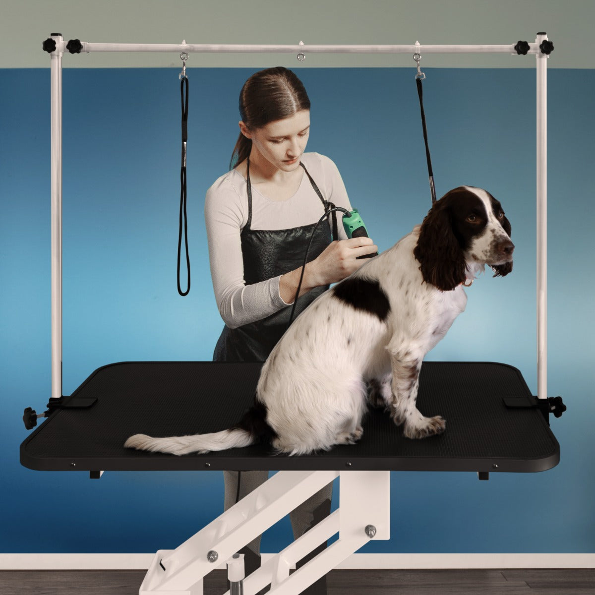 Q-Rax Commercio Tavolo Toelettatura Idraulico Bianco 180kg
