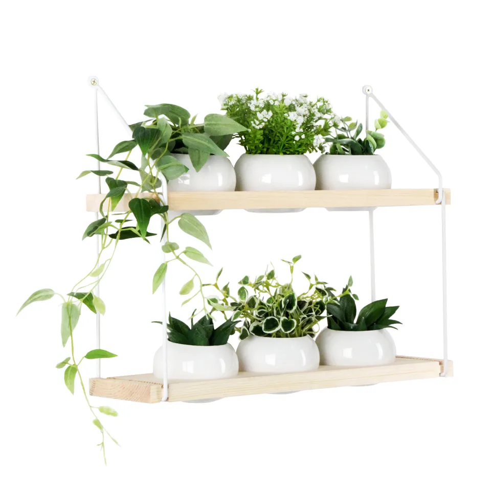 Jackcube Design Plant Fioriera Parete Legno 2 Ripiani con 6 Vasi