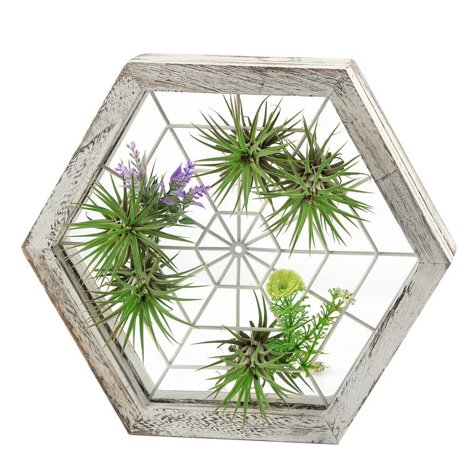 Jackcube Design Plant Portapiante Esagonale Legno Rustico