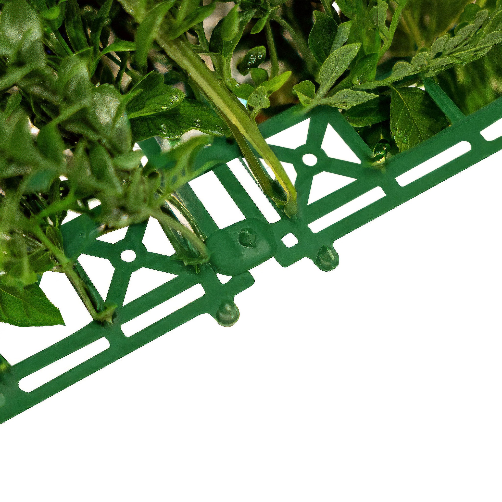 Q-Rax Ayla Pannello Vegetale Artificiale 50x150 cm set x2
