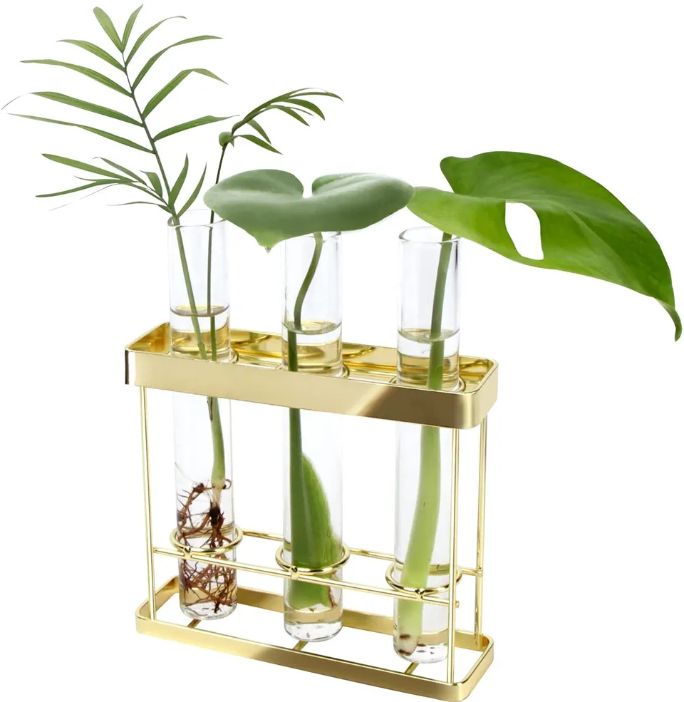 Jackcube Design Plant Wall Hanging fioriera 3 tubi vetro oro