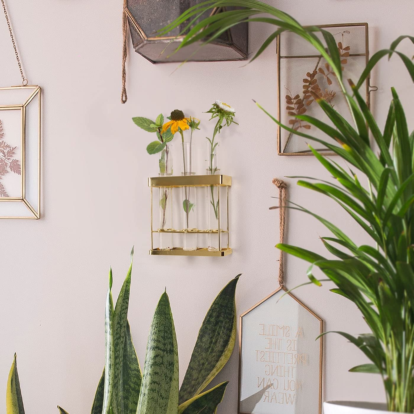 Jackcube Design Plant Wall Hanging fioriera 3 tubi vetro oro