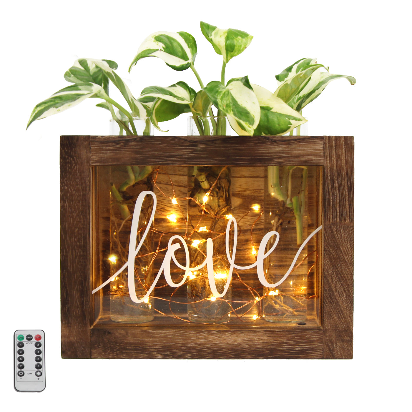 Jackcube Design Plant Vasetti Vetro 3 Pezzi con LED