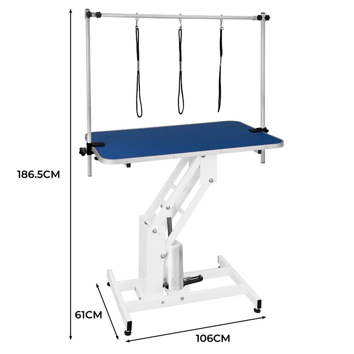 Q-Rax Tavolo Toelettatura Idraulico Piano Blu 106 cm 180 kg