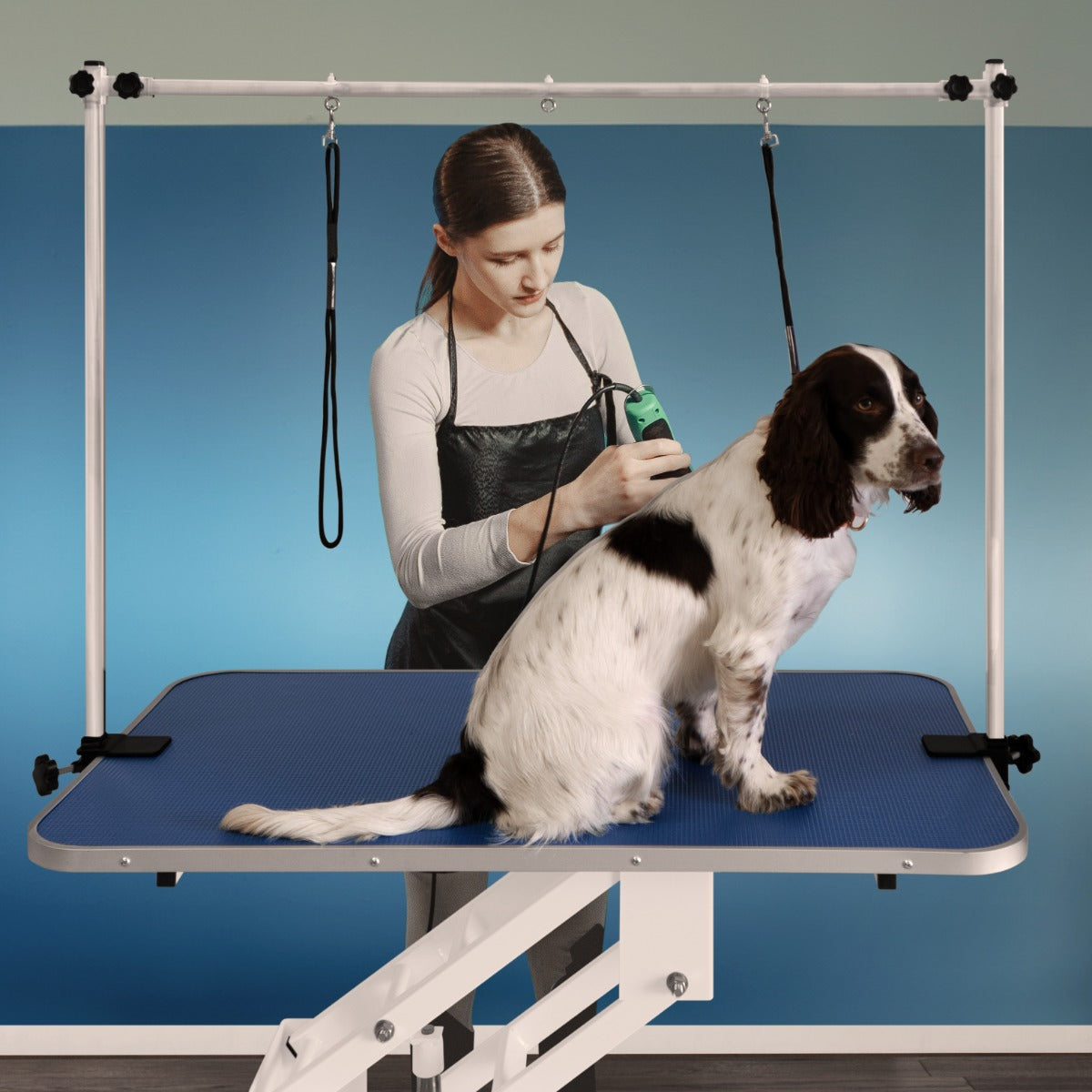 Q-Rax Tavolo Toelettatura Idraulico Piano Blu 106 cm 180 kg