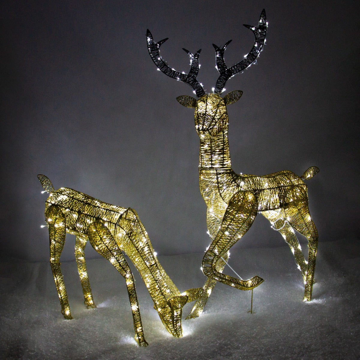 Q-Rax Renne Natalizie Luminose Oro decorazione LED bianco