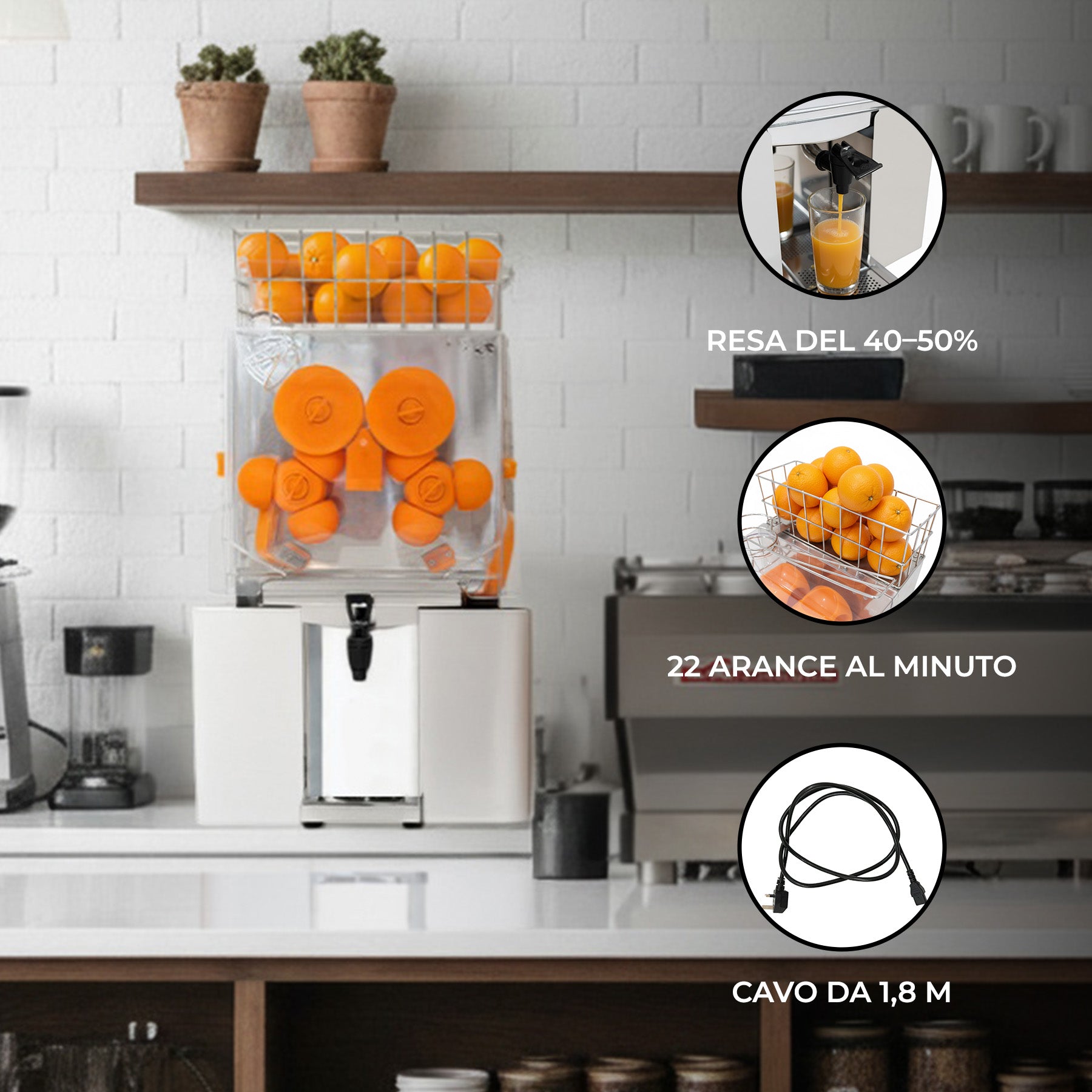 Q-Rax Spremiagrumi Professionale Elettrico Acciaio Inox