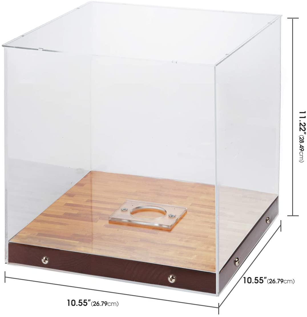 Jackcube Design Display Teca Pallone Basket Base Legno