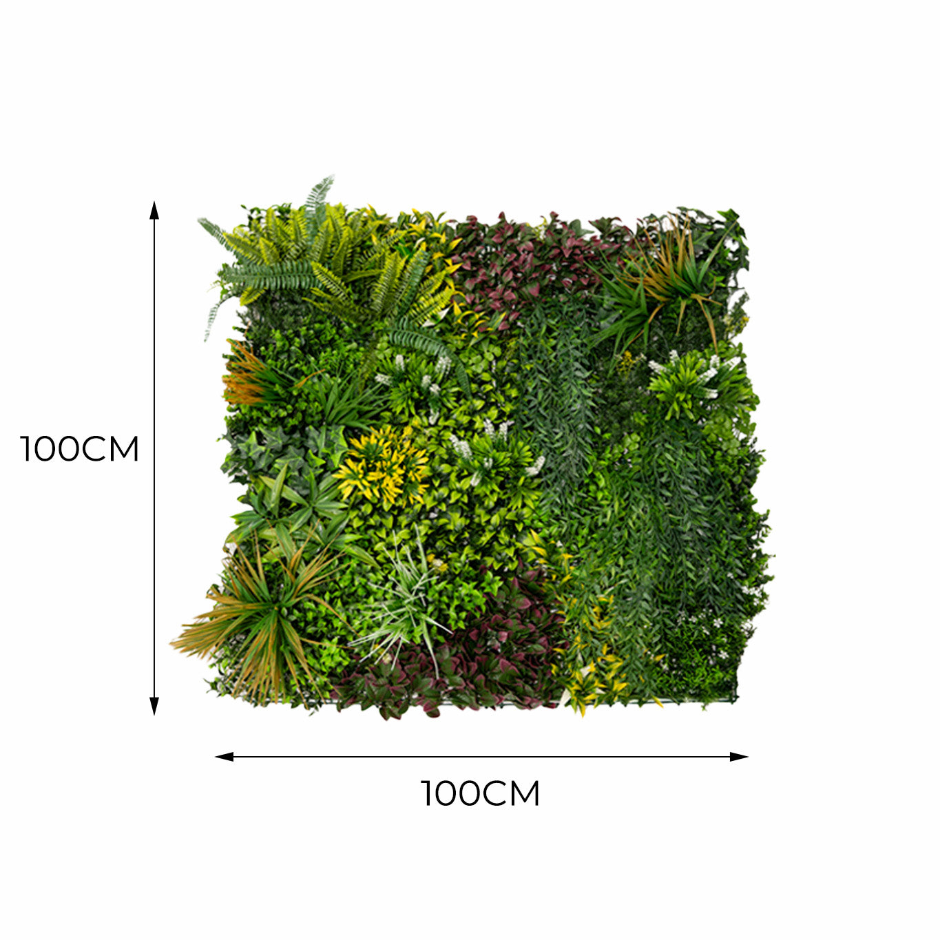 Q-Rax Cassia Piastrelle Parete Verde 100x100 cm 3 Pezzi UV