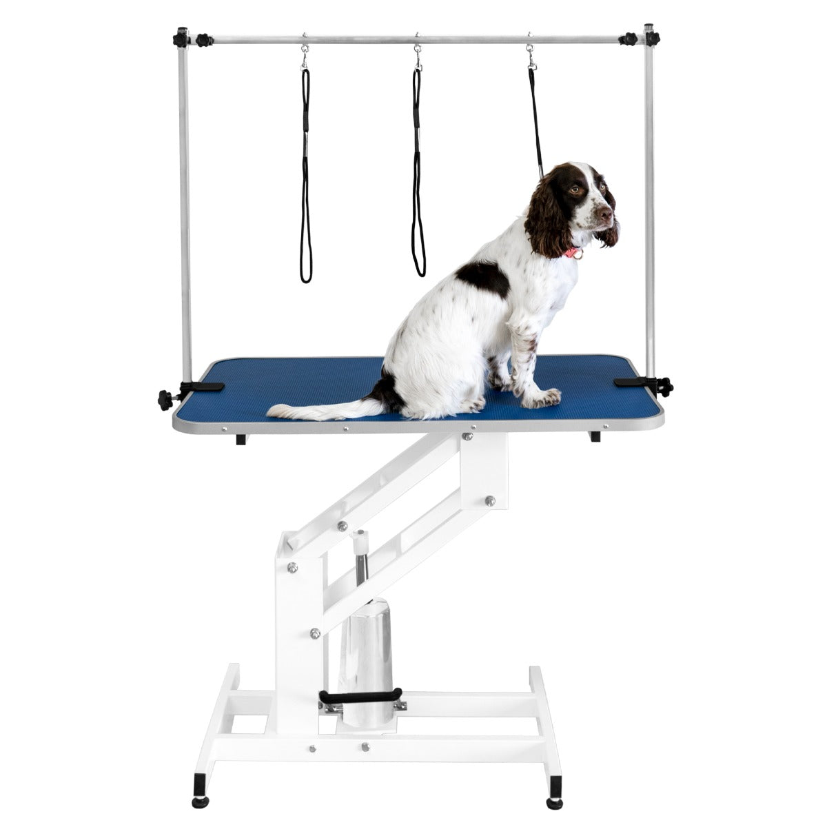 Q-Rax Tavolo Toelettatura Idraulico Piano Blu 106 cm 180 kg