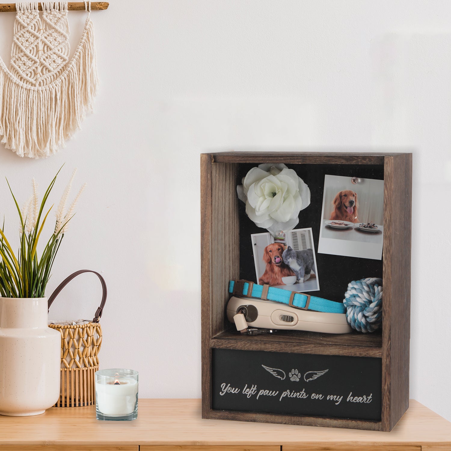 Jackcube Design Teca Ricordo Animali Shadow Box Urna Foto Muro