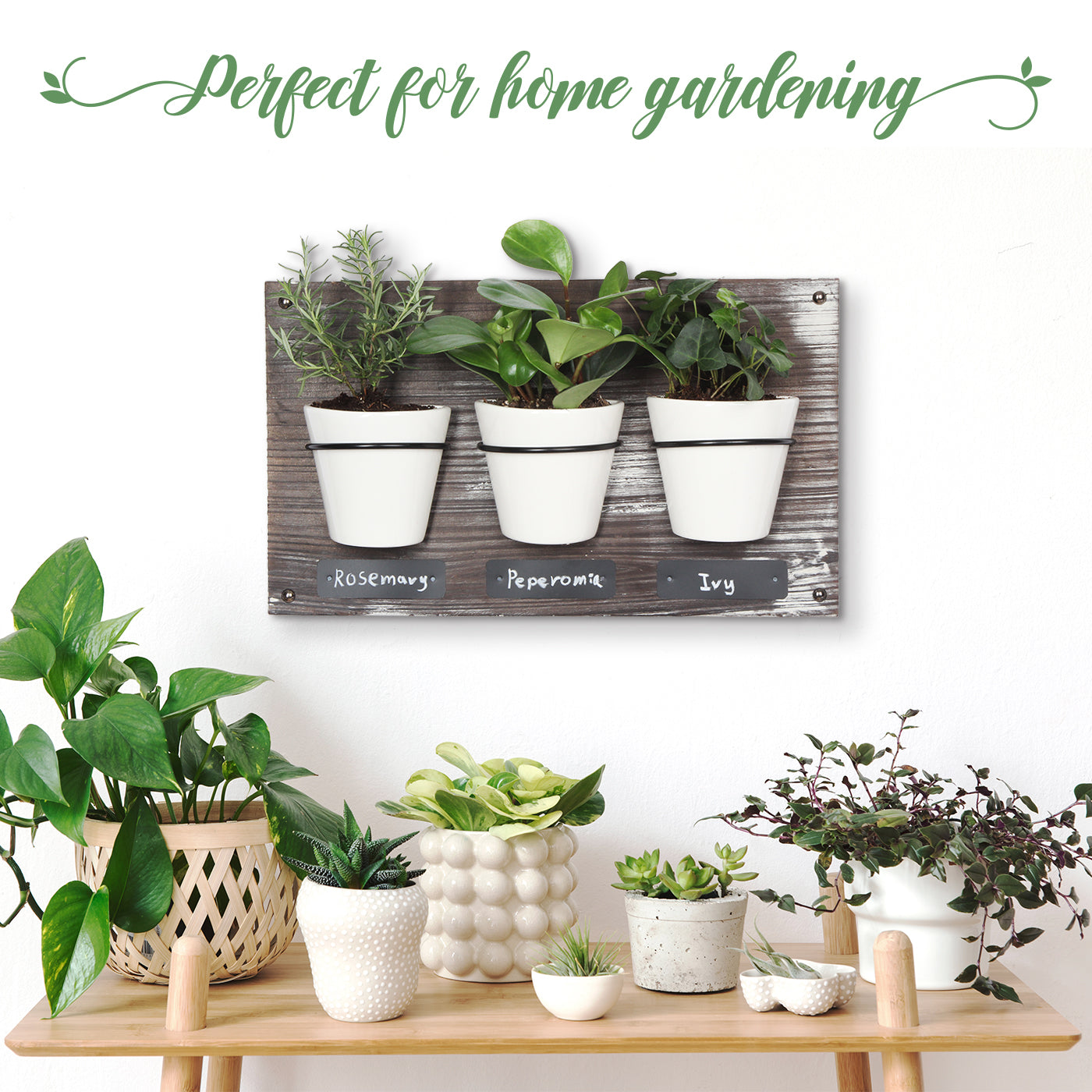 Jackcube Design Plant portavasi da parete 3 vasi ceramica