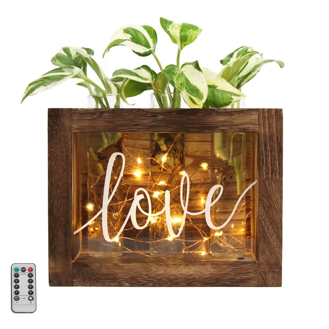 Jackcube Design Plant Vasetti Vetro 3 Pezzi con LED