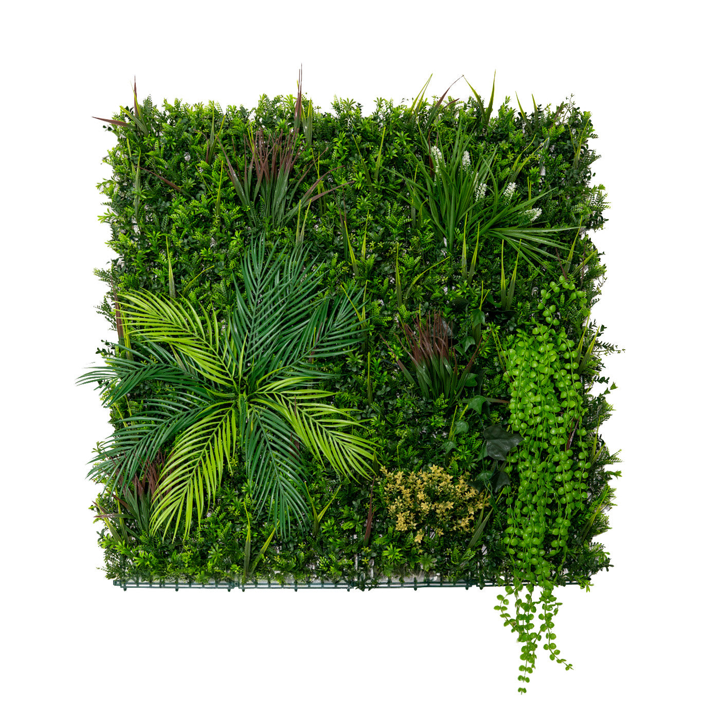 Q-Rax Piastrella Parete Verde 100x100 Piante Artificiali UV