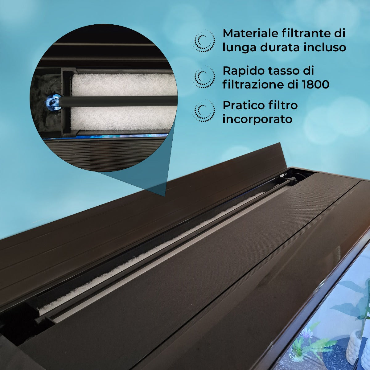 Q-Rax 300 litri acquario con mobile nero piante e ghiaia