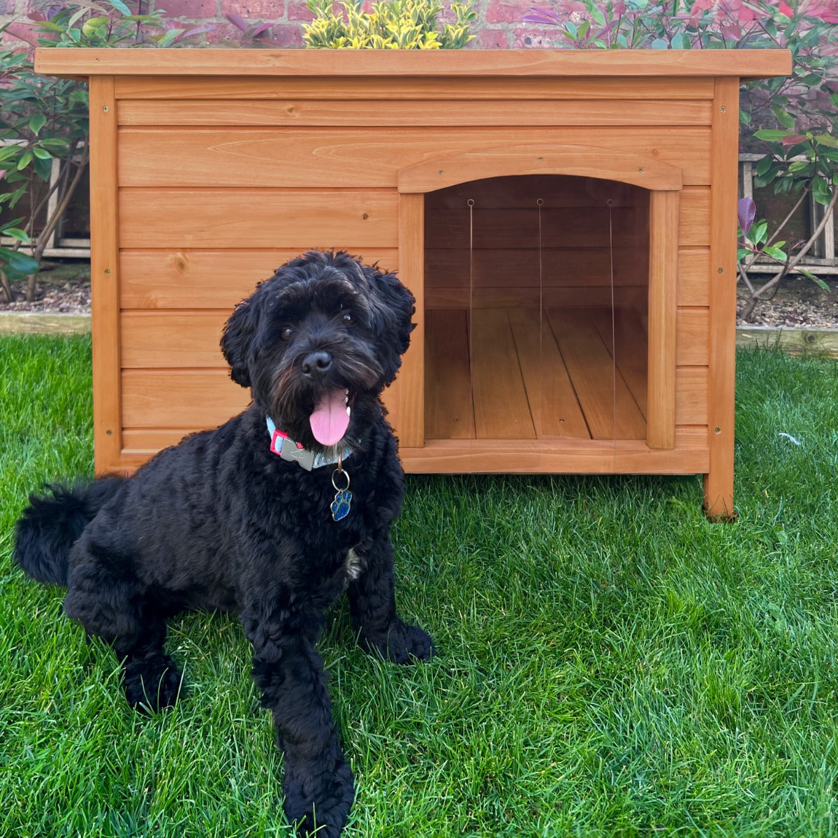 Q-Rax Cuccia Cane Piccola Taglia Legno Abete Tetto Feltro