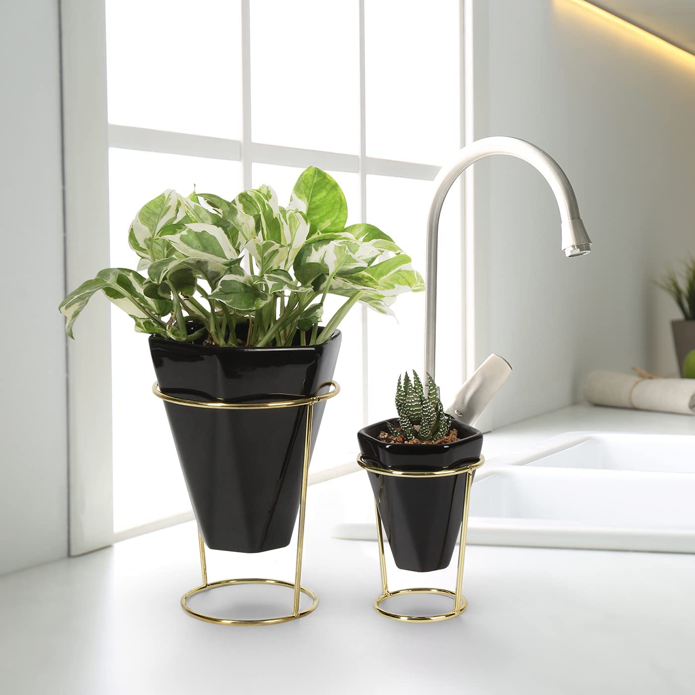 Jackcube Design Plant Set 2 Vasi Ceramica Nera con Supporto Oro