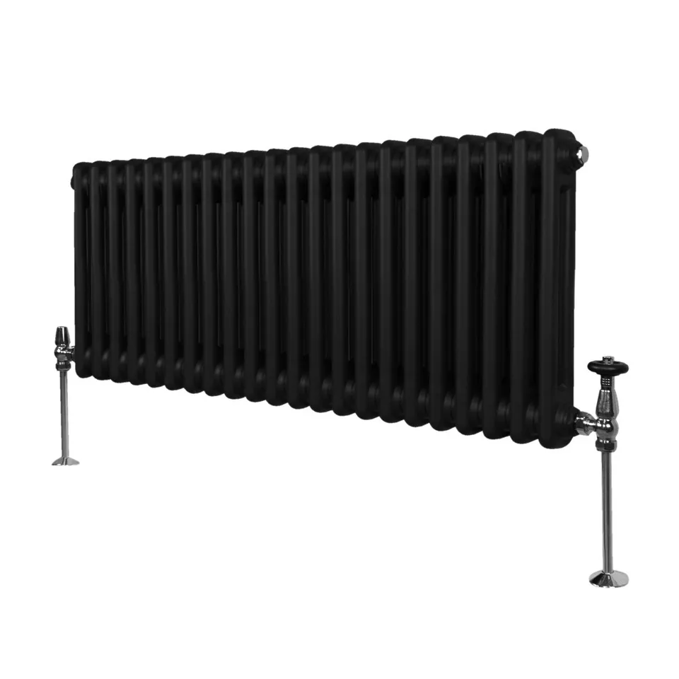 Q-Rax Radiatore Tradizionale 2 Colonne 300x1012 mm Nero Acciaio