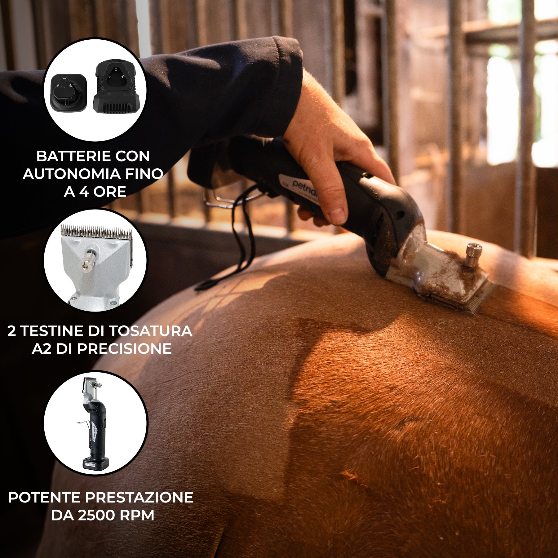 Q-Rax Tosatrice Cavalli Senza Filo 180W Testina A2 2 Batterie