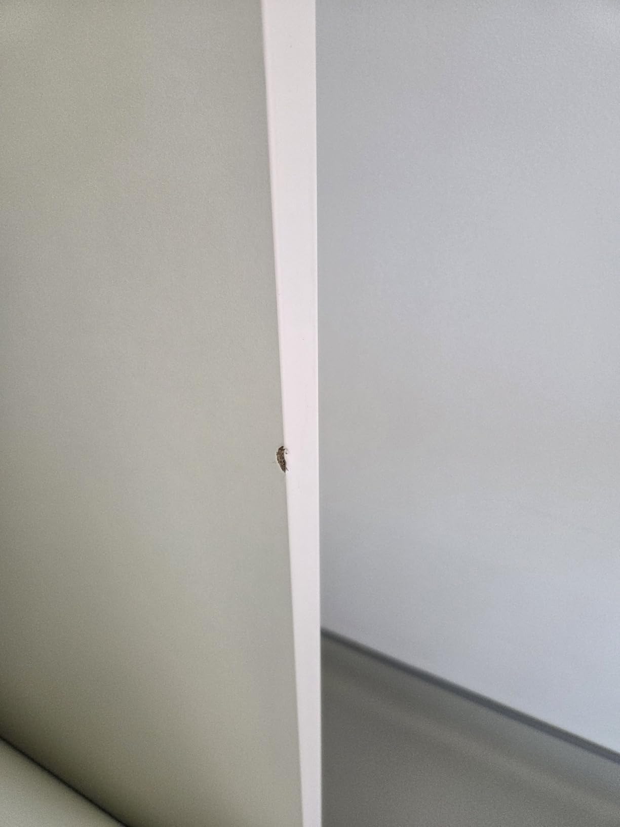 Henor Ebro Bancone reception 140 cm Bianco ufficio