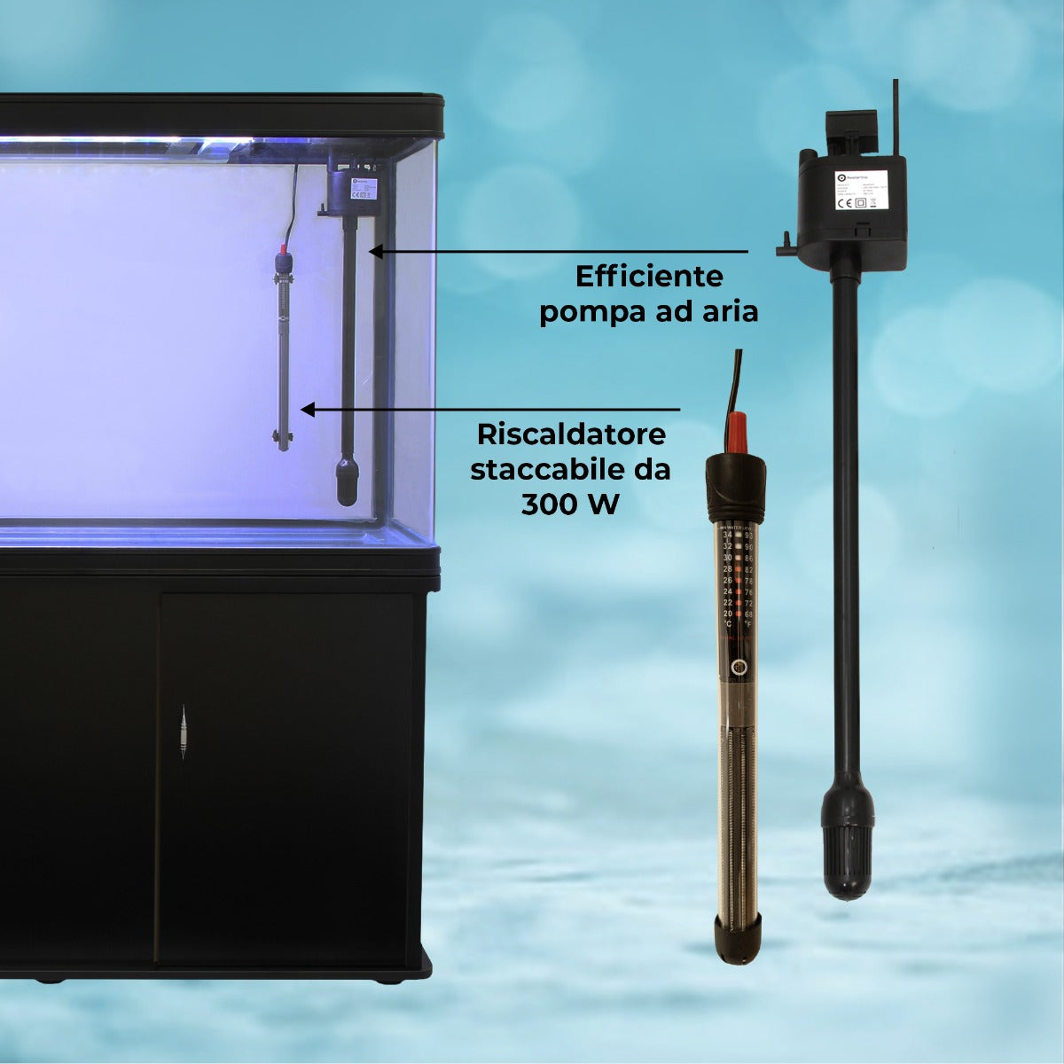Q-Rax 300 litri acquario con mobile nero piante e ghiaia