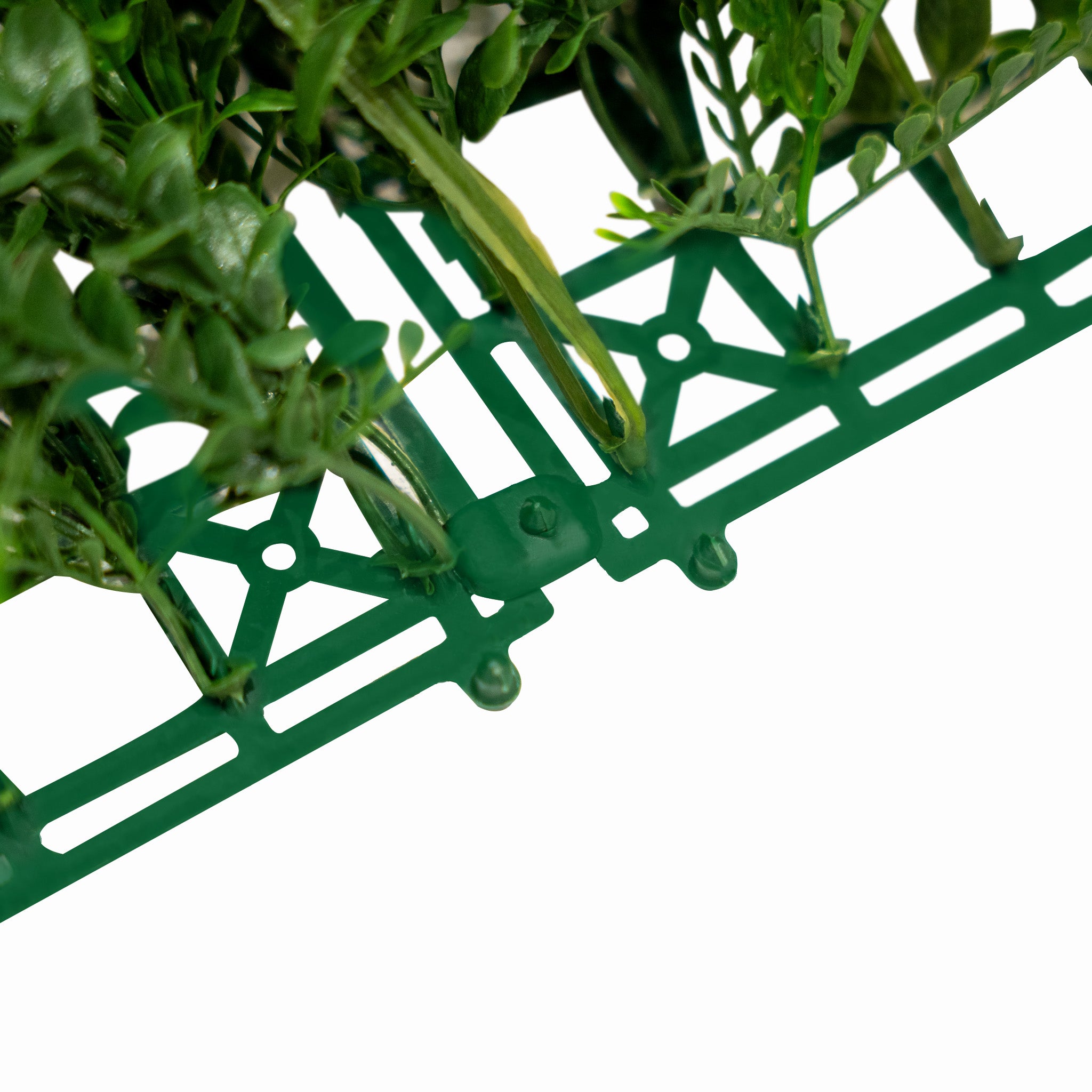 Q-Rax Alina Pannello Verde Verticale 50x100cm UV Esterno