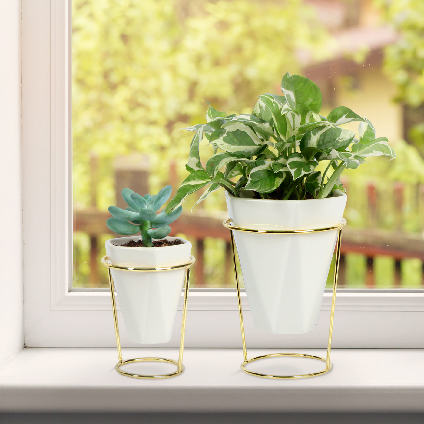 Jackcube Design set 2 vasi ceramica bianca con supporto oro