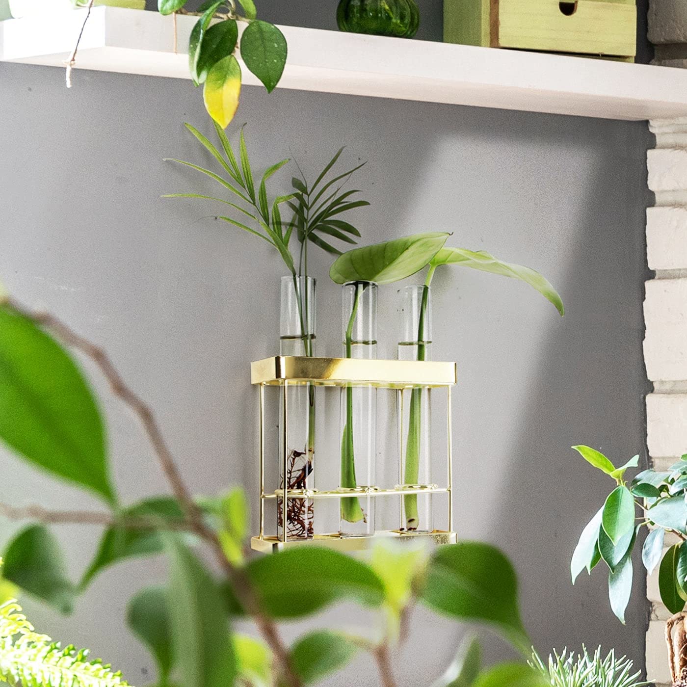 Jackcube Design Plant Wall Hanging fioriera 3 tubi vetro oro