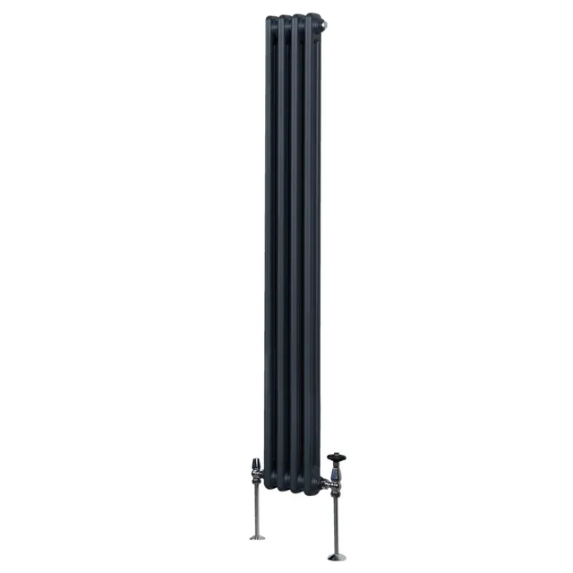 Q-Rax Radiatori Tradizionali 1800x202 2 Colonne Antracite