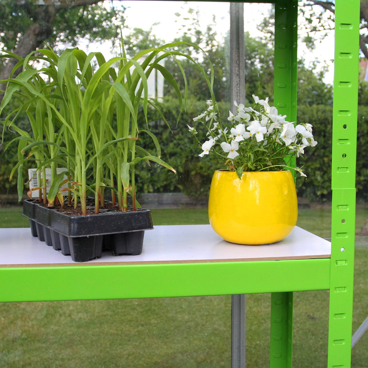 Q-Rax Serra tunnel 3x2 m PE con scaffali 175 kg giardino