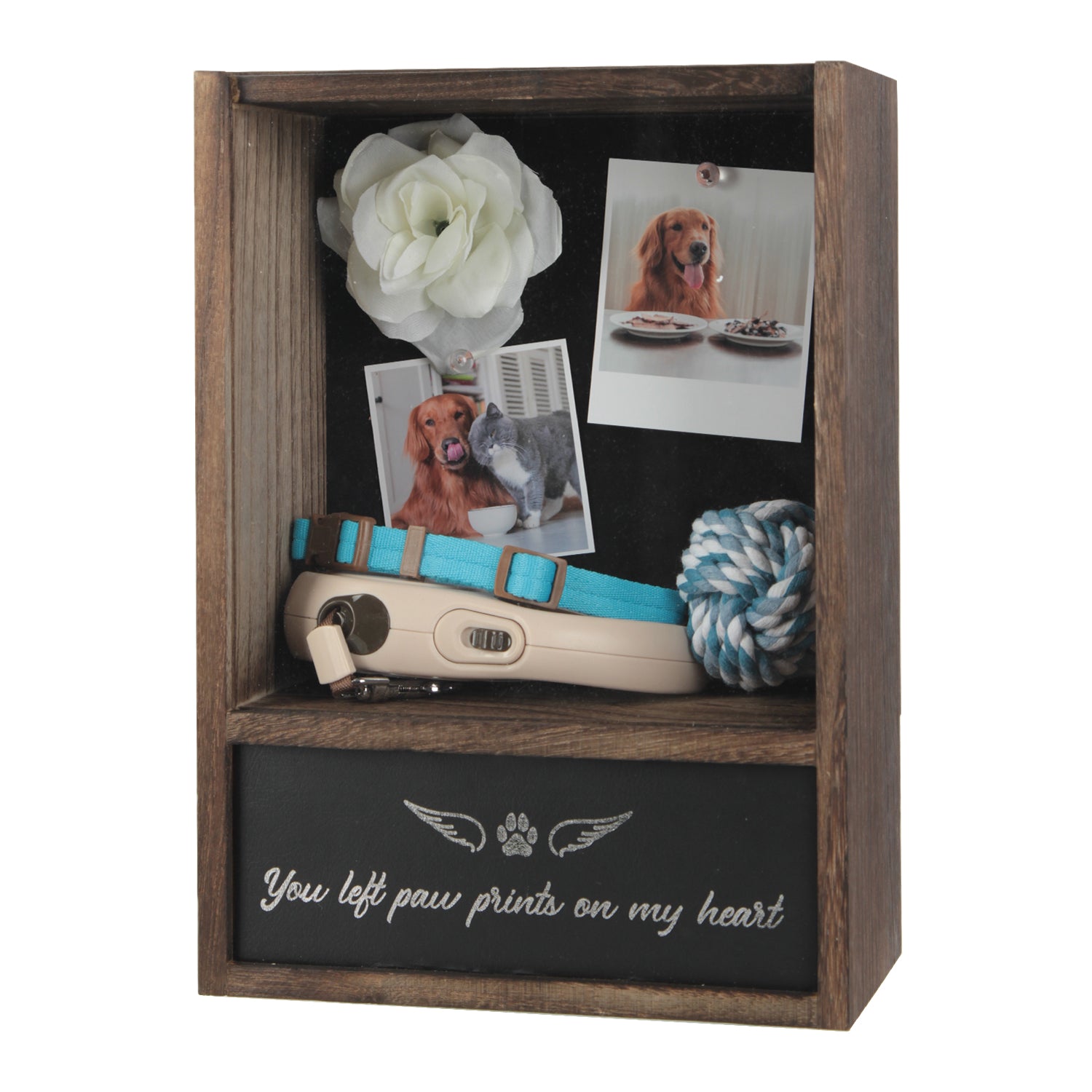 Jackcube Design Teca Ricordo Animali Shadow Box Urna Foto Muro