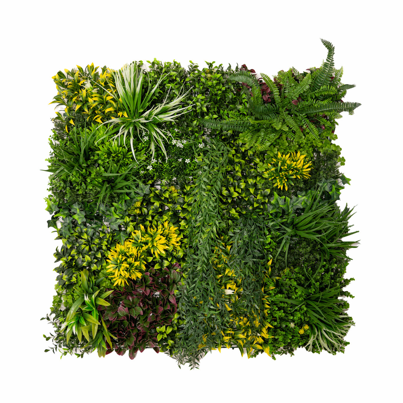 Q-Rax Cassia Piastrelle Parete Verde 100x100 cm 3 Pezzi UV