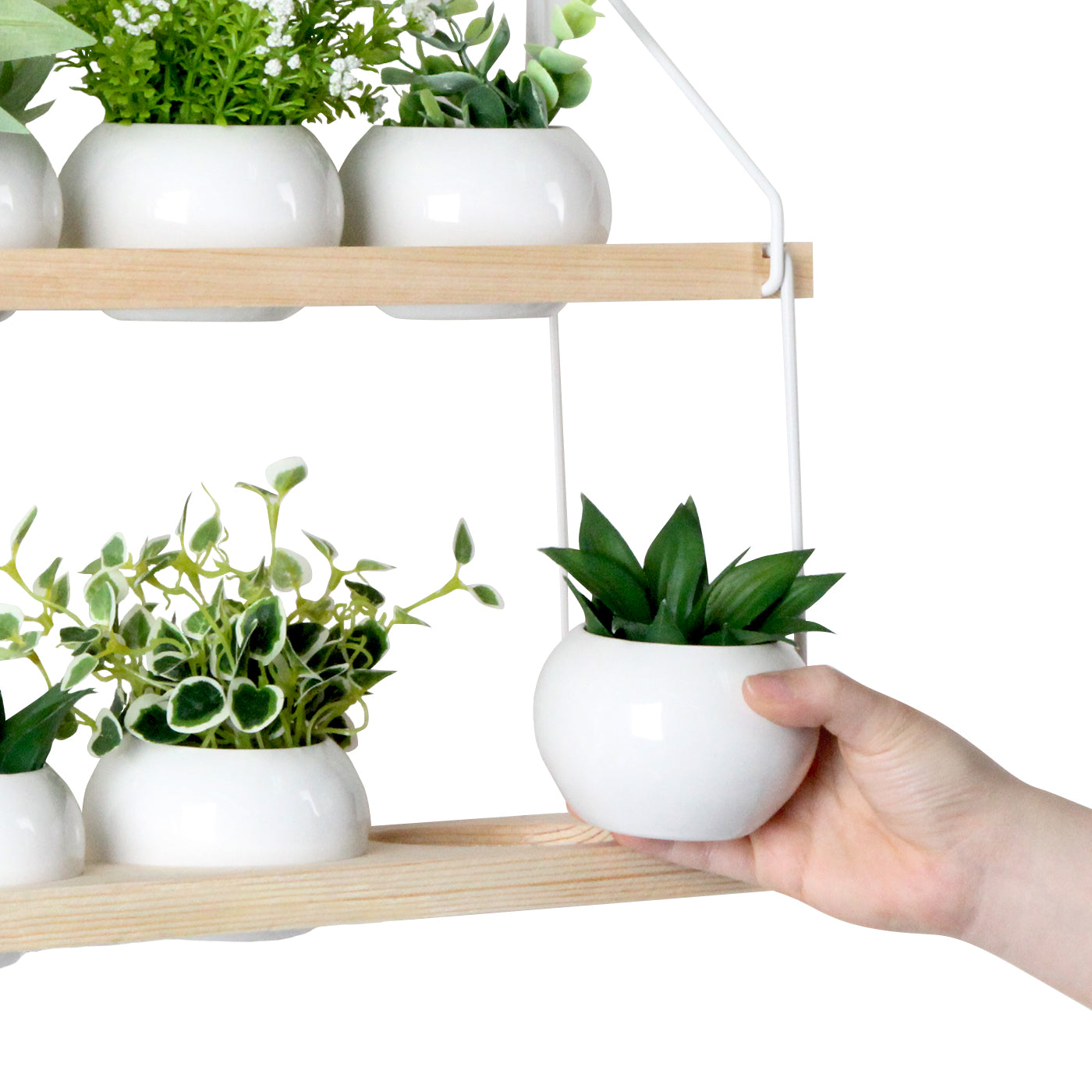 Jackcube Design Plant Fioriera Parete Legno 2 Ripiani con 6 Vasi