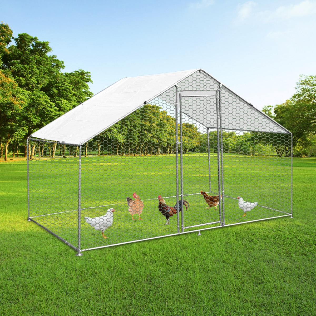 Q-Rax Recinzione Pollaio Esterno 4x2 m con Tettoia