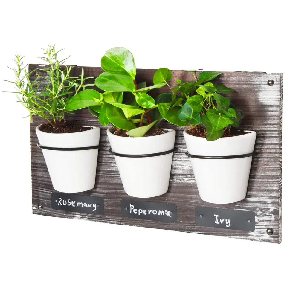 Jackcube Design Plant portavasi da parete 3 vasi ceramica