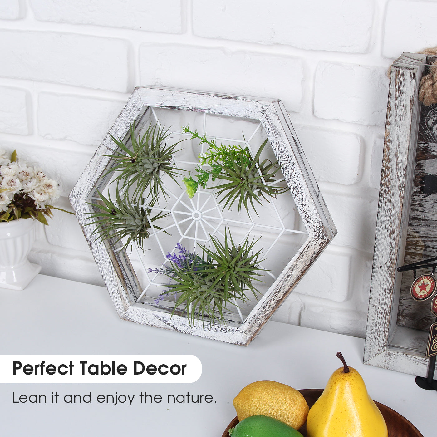 Jackcube Design Plant Portapiante Esagonale Legno Rustico